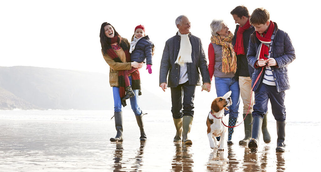 seguros-qual-a-importancia