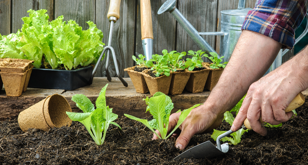 ser-mais-sustentavel-em-2023