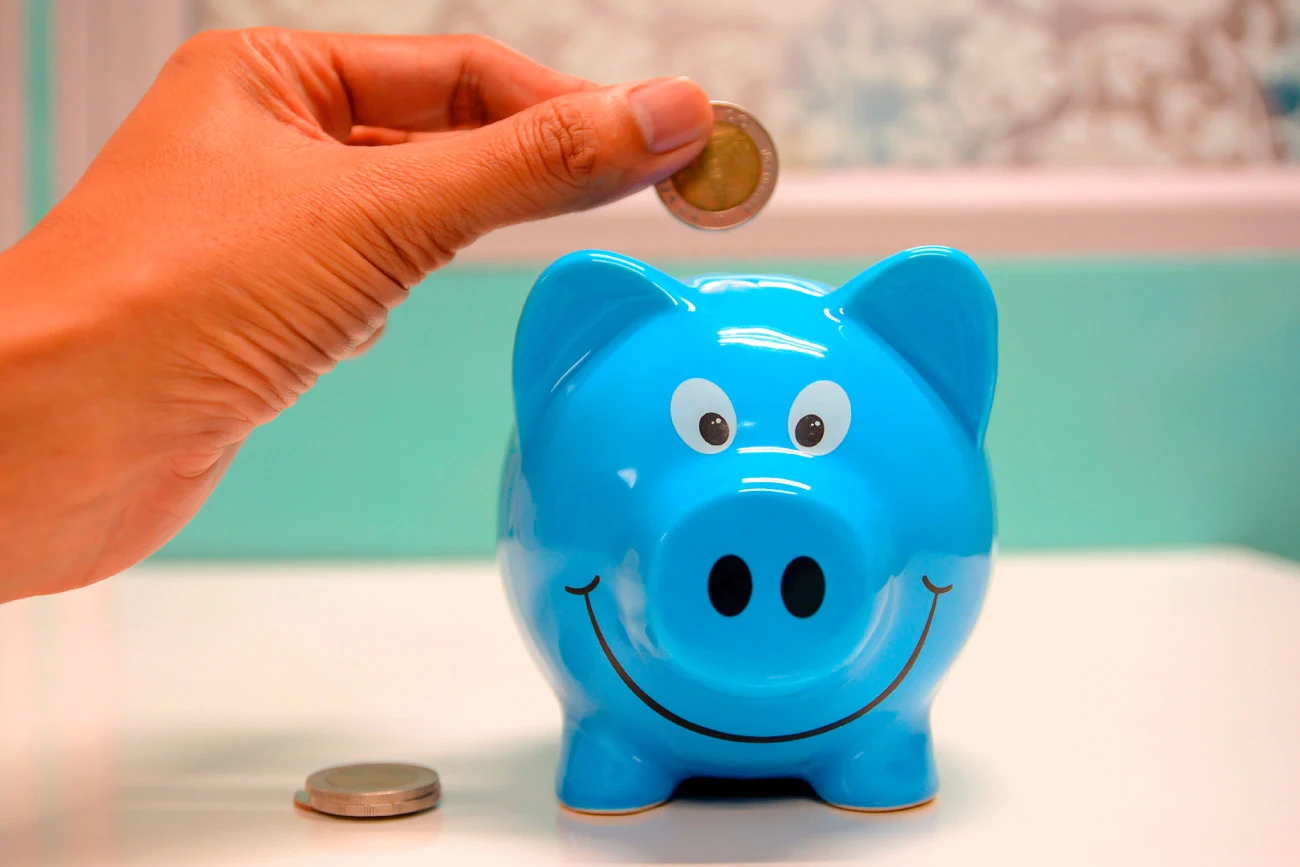 organizar finanças pessoais